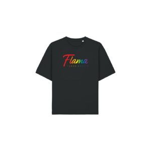 Flama Relaxed Fit T-Paita (sateenkaari)